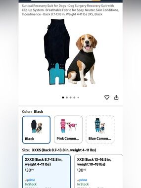 Suitical Dog Recovery Suit - Black with Teal Trim